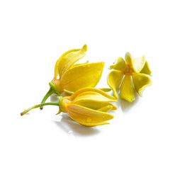 Ylang-ylang