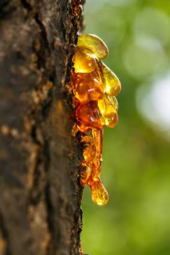 Amber