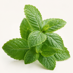 Pepparmynta
